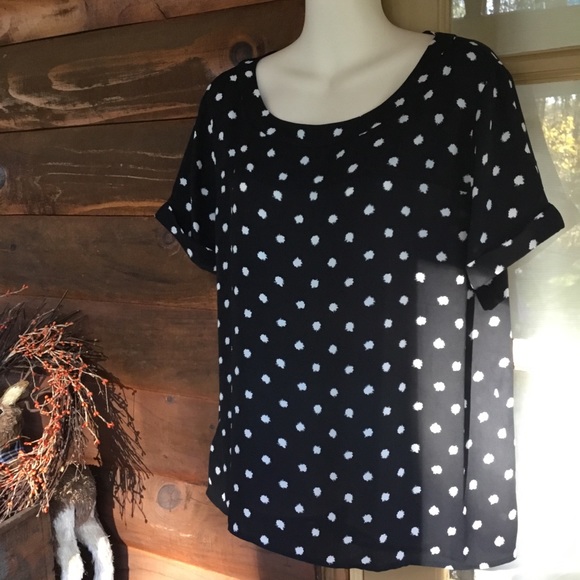 loft short sleeve blouse